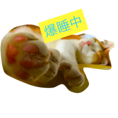 [LINEスタンプ] ニャンタ vol.3