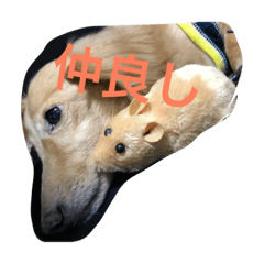 [LINEスタンプ] むくアンドりく