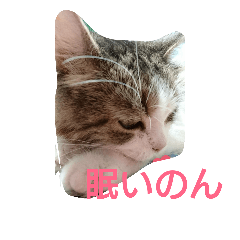 [LINEスタンプ] めい314 