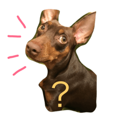 [LINEスタンプ] ビクターの顔