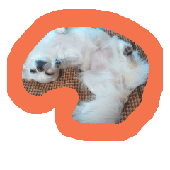 [LINEスタンプ] ゆとりチワワ