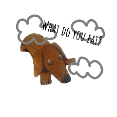 [LINEスタンプ] My name is suzu.