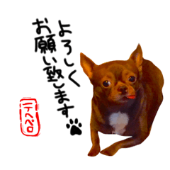 [LINEスタンプ] こつぶ 2