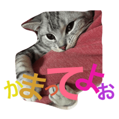 [LINEスタンプ] oreokun