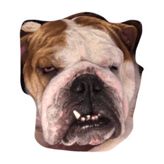 [LINEスタンプ] ルーシィ