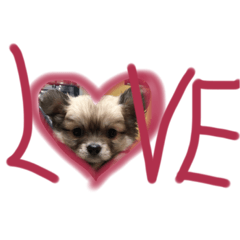 [LINEスタンプ] らら