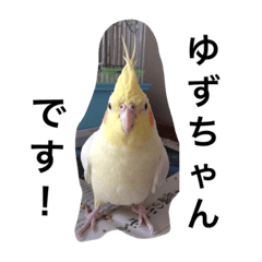 [LINEスタンプ] "Yuzu"
