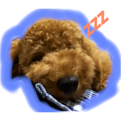 [LINEスタンプ] ルースタ