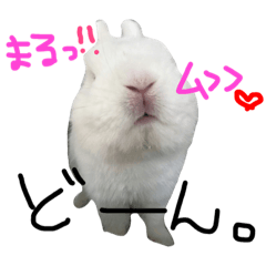 [LINEスタンプ] ジェイドスタンプ