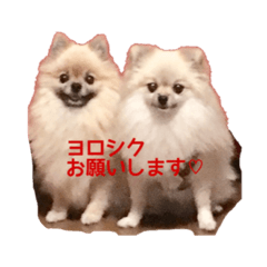 [LINEスタンプ] MOCO＆COCO