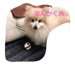 [LINEスタンプ] しゅわ