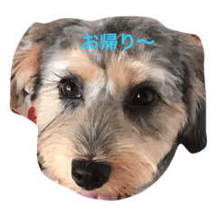 [LINEスタンプ] ヨモギ