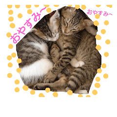 [LINEスタンプ] いつもありがとう元気良すぎなちびっこ