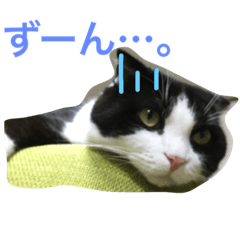 [LINEスタンプ] hachiware suko momotarou