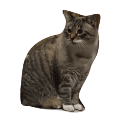 [LINEスタンプ] 名前チビなのに体デブ
