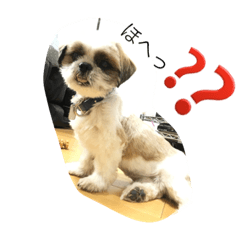 [LINEスタンプ] ミントの電話中