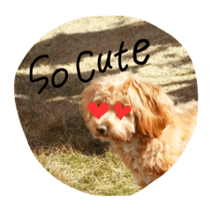 [LINEスタンプ] あんころもっち