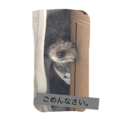 [LINEスタンプ] しぇるちゃんの呟き①