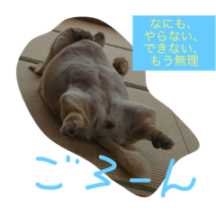 [LINEスタンプ] momosn picts