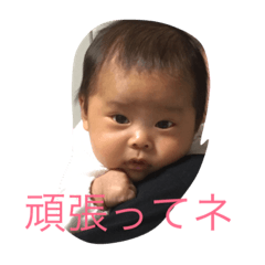 [LINEスタンプ] りゅぅぽん