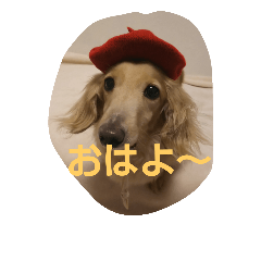 [LINEスタンプ] ともだちダックス