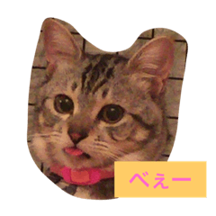 [LINEスタンプ] ライム君スタンプ