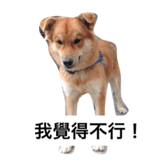 [LINEスタンプ] CurryNowYeeBo