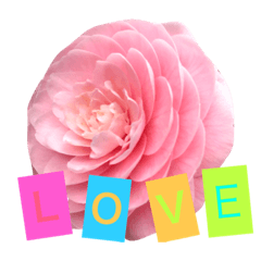 [LINEスタンプ] 花と自然のある暮らし