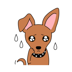 [LINEスタンプ] コロ助の何気ない一言