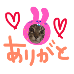 [LINEスタンプ] Hi shirasu4