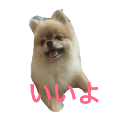 [LINEスタンプ] coo＆rei's happy time