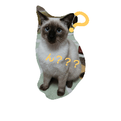 [LINEスタンプ] RunRunCat