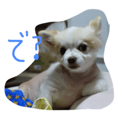 [LINEスタンプ] でんのスタンプ1