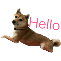 [LINEスタンプ] つぶの日常