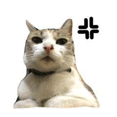 [LINEスタンプ] もんめ