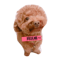 [LINEスタンプ] pubby