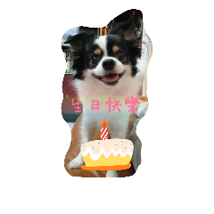 [LINEスタンプ] Nicky's life