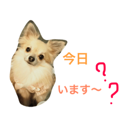[LINEスタンプ] ちいちい・みいみい・るうるうPart2