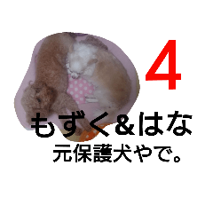 [LINEスタンプ] 元保護犬、もずく＆はな4(関西弁多数)