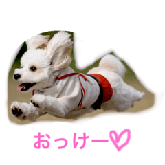[LINEスタンプ] るなの毎日