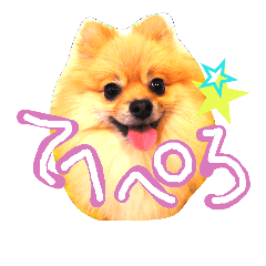 [LINEスタンプ] ポメ時々ペルシャ1