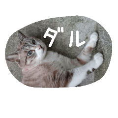 [LINEスタンプ] Su-！