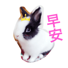 [LINEスタンプ] cute pets ~~