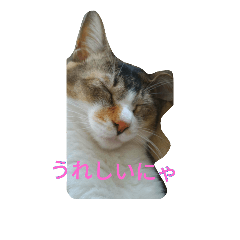 [LINEスタンプ] おまめ2