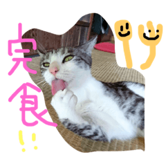[LINEスタンプ] ニャ太郎 genten