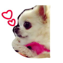 [LINEスタンプ] ミルク様