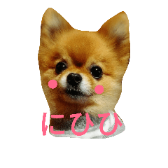[LINEスタンプ] Pompom Komickey