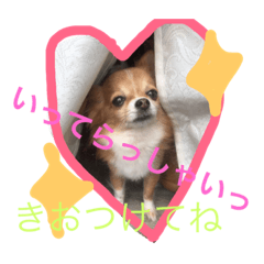 [LINEスタンプ] ch iwawa