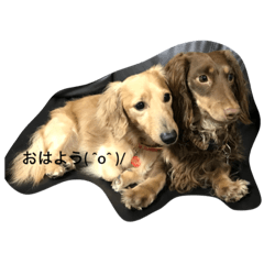 [LINEスタンプ] りお＆チョコ