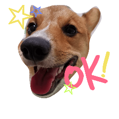 [LINEスタンプ] がぴお